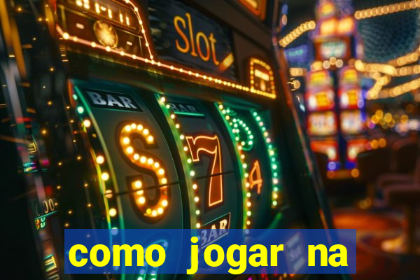 como jogar na lotinha do jogo do bicho